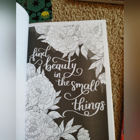 Drawing and Coloring Book Bundle 7 books - Picture 11 of 15